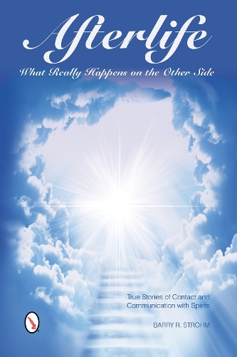 Паперова книга «Afterlife: What Really Happens on the Other Side: True Stories of Contact and Communication with Spirits», автор Баррі Р. Штром - фото №1
