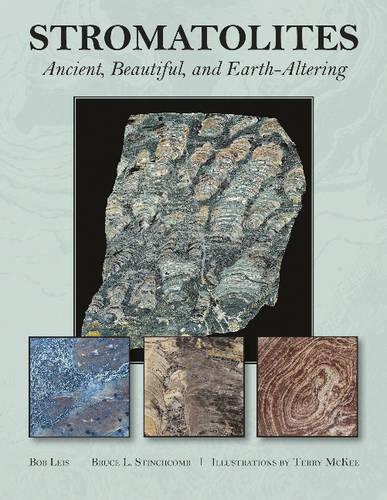 Бумажная книга «Stromatolites: Ancient, Beautiful, and Earth-Altering», авторов Брюс Л. Стинчкомб, Р. Дж. Лейс - фото №1