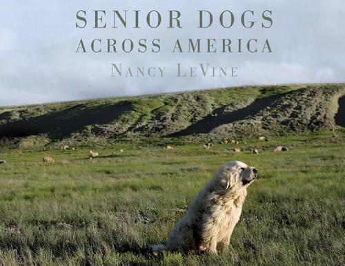 Бумажная книга «Senior Dogs Across America: Portraits of Man's Best Old Friend», автор Нэнси Левайн - фото №1