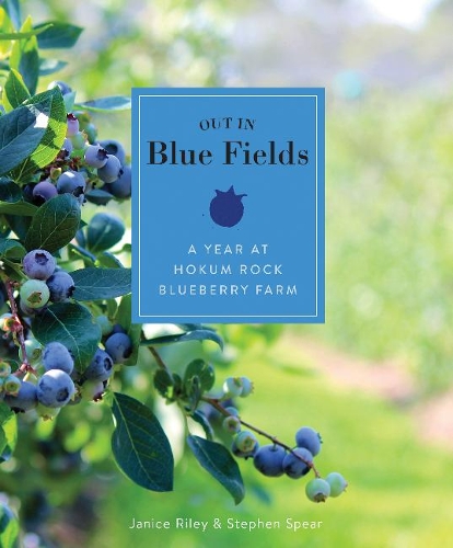 Паперова книга «Out in Blue Fields: A Year at Hokum Rock Blueberry Farm», авторів Дженіс Райлі, Стівен Спір - фото №1