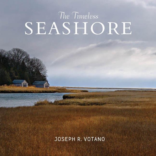 Паперова книга «The Timeless Seashore», автор Джо Вотано - фото №1