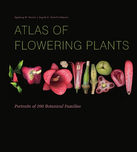 Бумажная книга «Atlas of Flowering Plants: Visual Studies of 200 Deconstructed Botanical Families», авторов Анджела К. Нибель-Лохманн, Ингеборг М. Нислер - фото №1