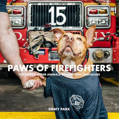 Бумажная книга «Paws of Firefighters: The Dogs & Other Animals of New York Firehouses», автор Эмми Парк - фото №1