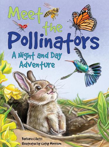 Паперова книга «Meet the Pollinators: A Night and Day Adventure», автор Барбара Чілетті - фото №1