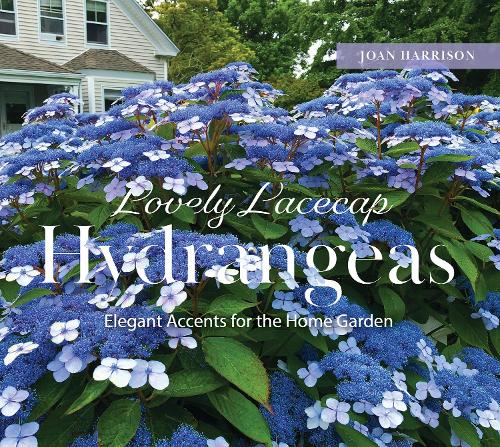 Бумажная книга «Lovely Lacecap Hydrangeas: Elegant Accents for the Home Garden», автор Джоан Харрисон - фото №1