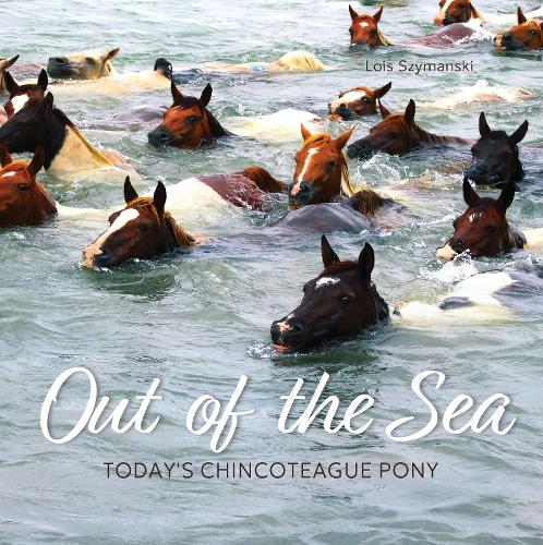 Бумажная книга «Out of the Sea: Today's Chincoteague Pony (2nd Edition)», автор Лоис Шимански - фото №1