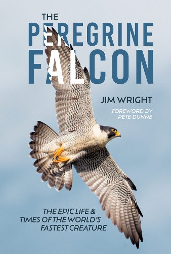 Бумажная книга «The Peregrine Falcon: The Epic Life and Times of the World’s Fastest Creature», автор Джим Райт - фото №1