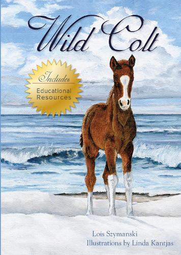 Паперова книга «Wild Colt», автор Лоїс Шиманські - фото №1