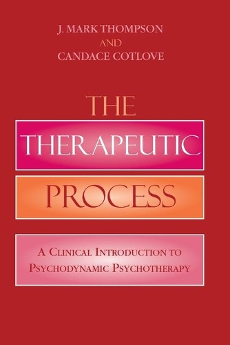 Бумажная книга «The Therapeutic Process: A Clinical Introduction to Psychodynamic Psychotherapy», авторов Кэндис Котлоув, Марк Дж. Томпсон - фото №1