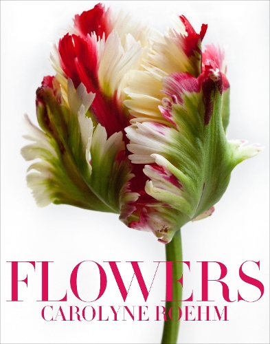 Бумажная книга «Flowers», автор Каролин Рэм - фото №1