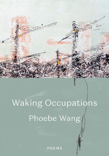 Паперова книга «Walking Occupations», автор Фібі Ванг - фото №1