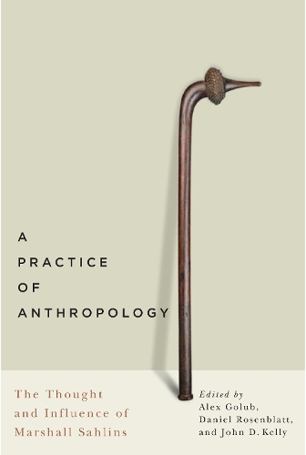 Паперова книга «A Practice of Anthropology: The Thought and Influence of Marshall Sahlins», авторів Алекс Голуб, Даніель Розенблатт, Джон Д. Келлі - фото №1