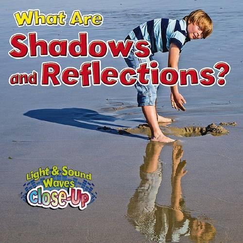 Бумажная книга «What Are Shadows and Reflections?», автор Пола Смит - фото №1