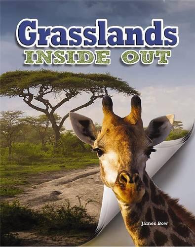 Паперова книга «Grasslands», автор Джеймс Боу - фото №1