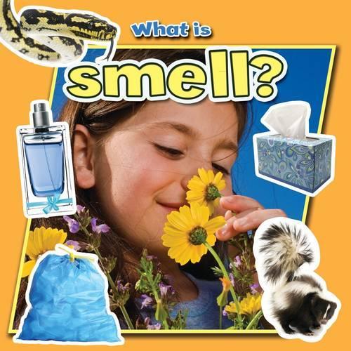 Бумажная книга «What is Smell?», автор Лин Пеппас - фото №1
