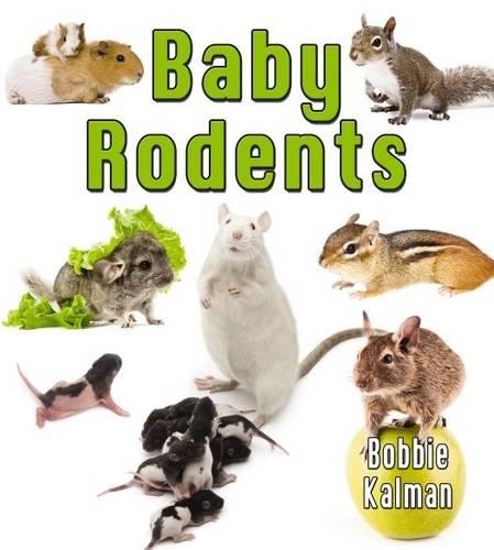 Бумажная книга «Baby Rodents», автор Бобби Калман - фото №1