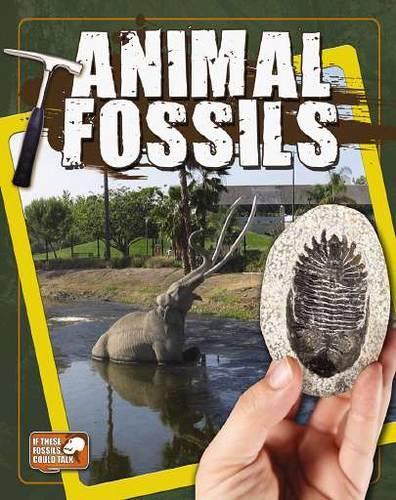 [object Object] «Animal Fossils», автор Натали Хайд - фото №1