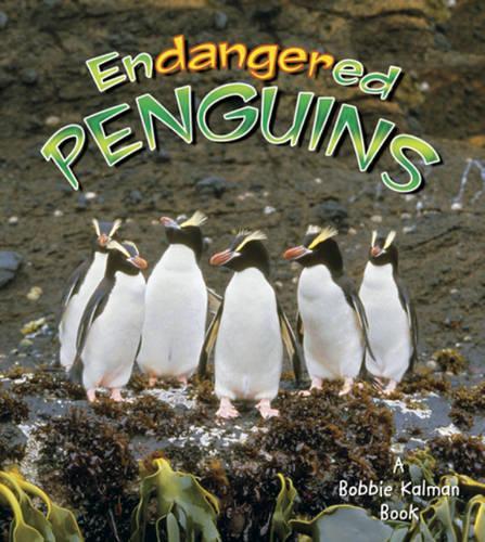 Паперова книга «Endangered Penguins», автор Робін Джонсон - фото №1