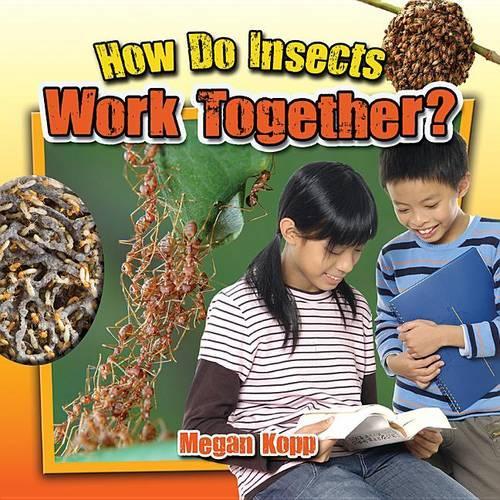 Бумажная книга «How Do Insects Work Together?», автор Меган Копп - фото №1
