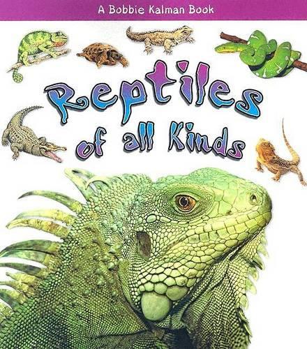 Бумажная книга «Reptiles of All Kinds ?», автор Келли Маколей - фото №1
