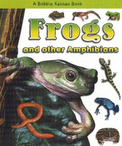 Бумажная книга «Frogs and Other Amphibians», автор Бобби Калман - фото №1