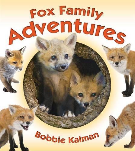 Бумажная книга «Fox Family Adventures», автор Бобби Калман - фото №1