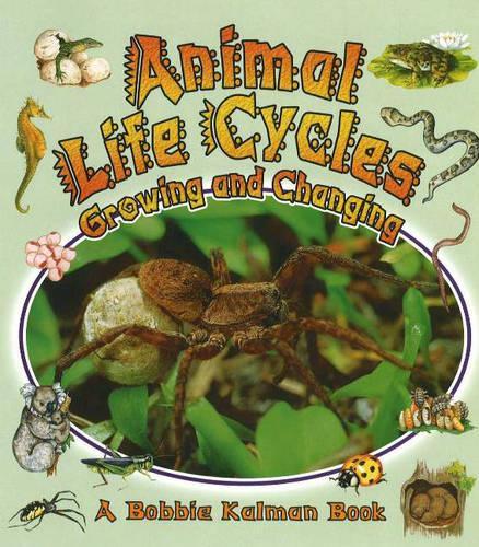 Бумажная книга «Animal Life Cycles: Growing and Changing», автор Бобби Калман - фото №1
