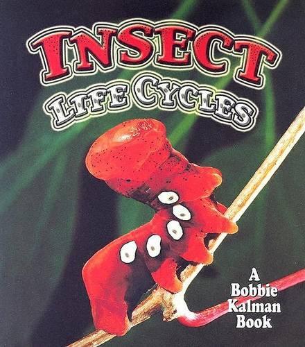 Бумажная книга «Insect Life Cycles», автор Молли Алоян - фото №1