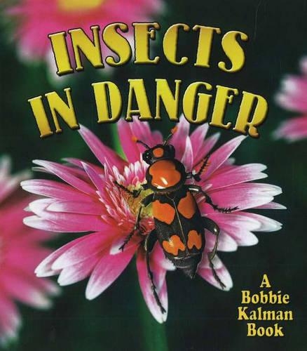 Бумажная книга «Insects in Danger», автор Кэтрин Смитиман - фото №1