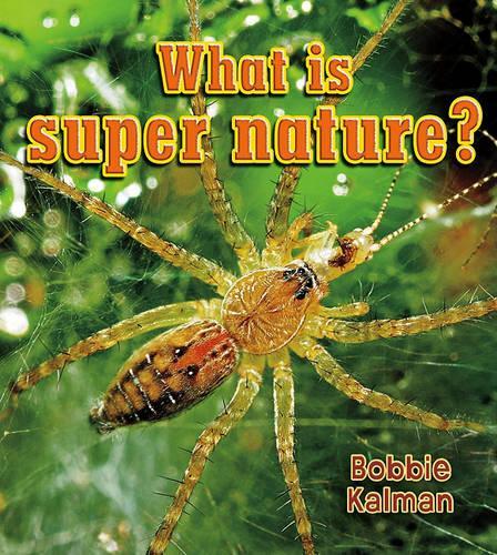 Бумажная книга «What is super nature?», автор Бобби Калман - фото №1