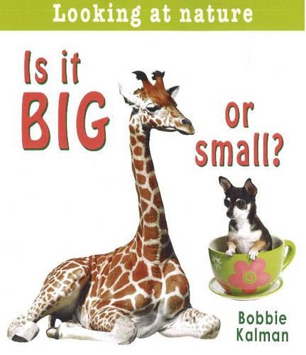 Бумажная книга «Is It Big or Small?», автор Бобби Калман - фото №1