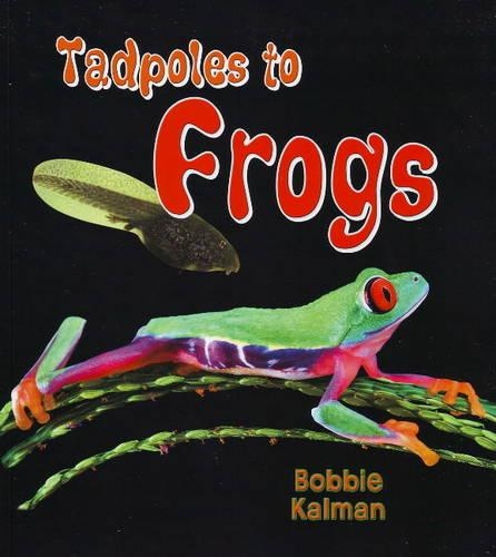 Бумажная книга «Tadpoles to Frogs», автор Бобби Калман - фото №1