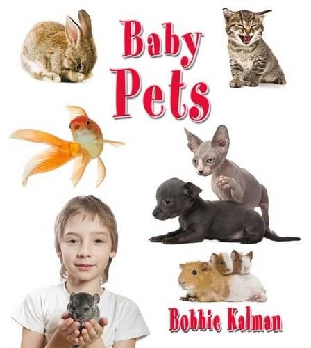 Бумажная книга «Baby Pets», автор Бобби Калман - фото №1
