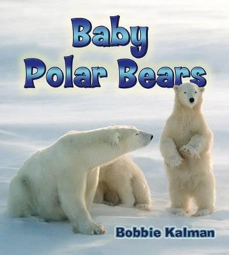 Паперова книга «Baby Polar Bears», автор Боббі Калман - фото №1
