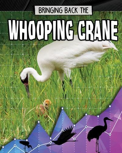 Паперова книга «Bringing Back the Whooping Crane», автор Рейчел Стакі - фото №1