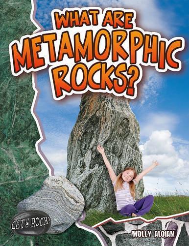 Паперова книга «What Are Metamorphic Rocks?», автор Моллі Алоян - фото №1