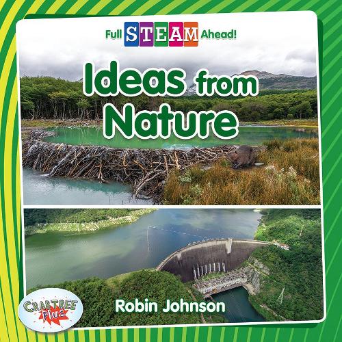 Паперова книга «Ideas from Nature», автор Робін Джонсон - фото №1