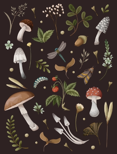 Бумажная книга «Mushroom Lined Journal», автор Редакция Chartwell Books - фото №1