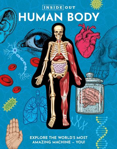 Бумажная книга «Inside Out Human Body: Explore the World's Most Amazing Machine - You!», автор Луань Коломбо - фото №1