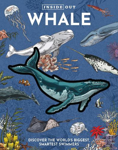 Бумажная книга «Inside Out Whale: Discover the World's Biggest, Smartest Swimmers», автор Редакция Chartwell Books - фото №1