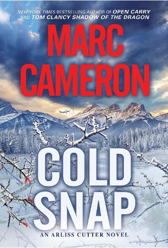 Бумажная книга «Cold Snap: An Action Packed Novel of Suspense», автор Марк Камерон - фото №1