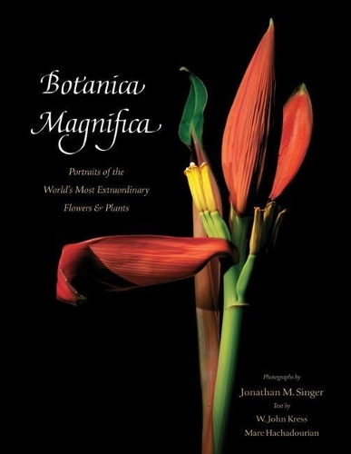 Бумажная книга «Botanica Magnifica - Deluxe: Portraits of the Worlds Most Extraordinary Flowers and Plants», авторов Марк Хачадурян, У. Джон Кресс - фото №1