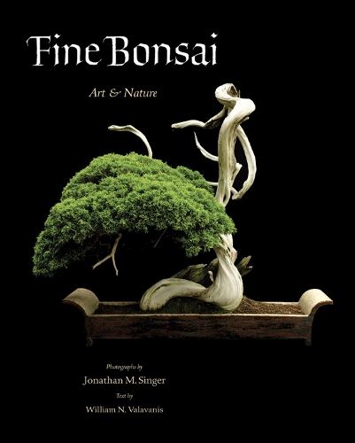 Бумажная книга «Fine Bonsai - Deluxe Edition: Art & Nature», автор Джонатан Сингер - фото №1