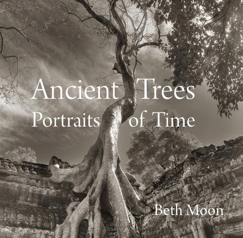 Бумажная книга «Ancient Trees: Portraits of Time», автор Бет Мун - фото №1