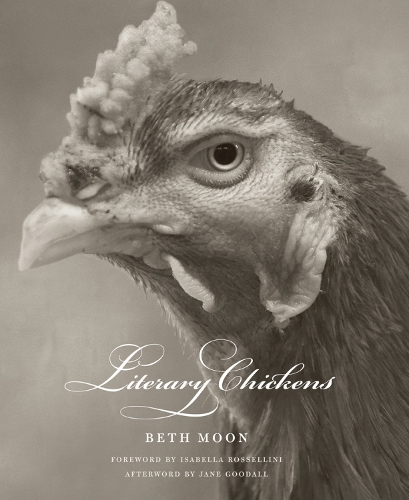 Бумажная книга «Literary Chickens», автор Бет Мун - фото №1