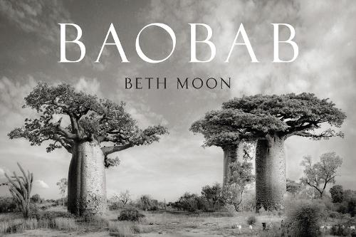 Бумажная книга «Baobab», автор Бет Мун - фото №1