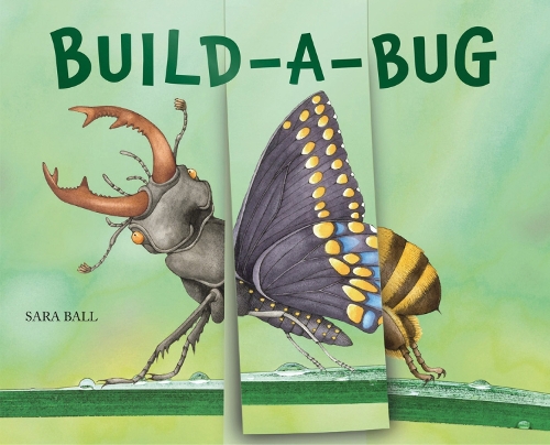 [object Object] «Build-a-Bug: Make Your Own Wacky Insect!», автор Сара Болл - фото №1
