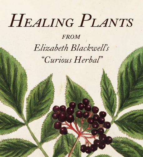 Бумажная книга «Healing Plants: From Elizabeth Blackwell's "Curious Herbal"» - фото №1