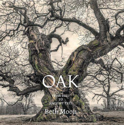 Бумажная книга «Oak: From Seed to Ancient Tree», автор Бет Мун - фото №1