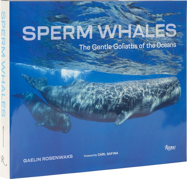 Бумажная книга «Sperm Whales: The Gentle Goliaths of the Ocean», автор Гаэлин Розенвакс - фото №1